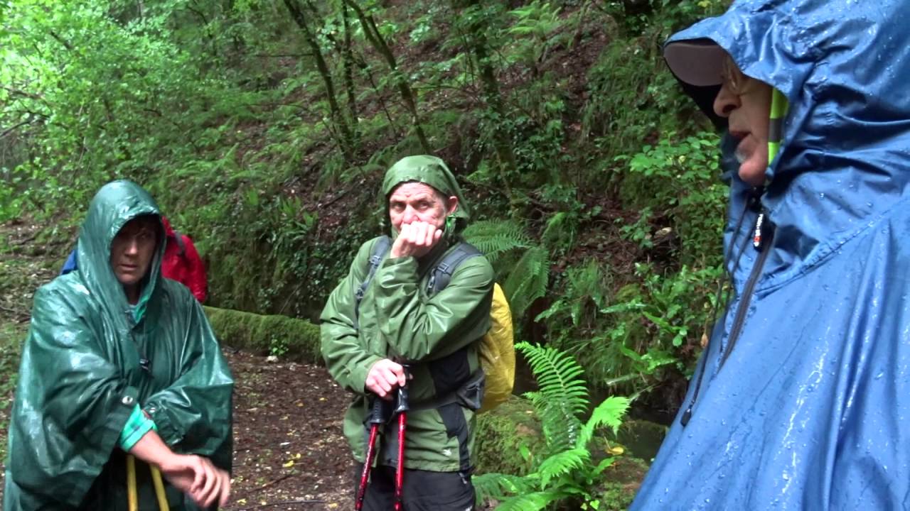Passeggiata nella Foresta Umbra con il gruppo CAI