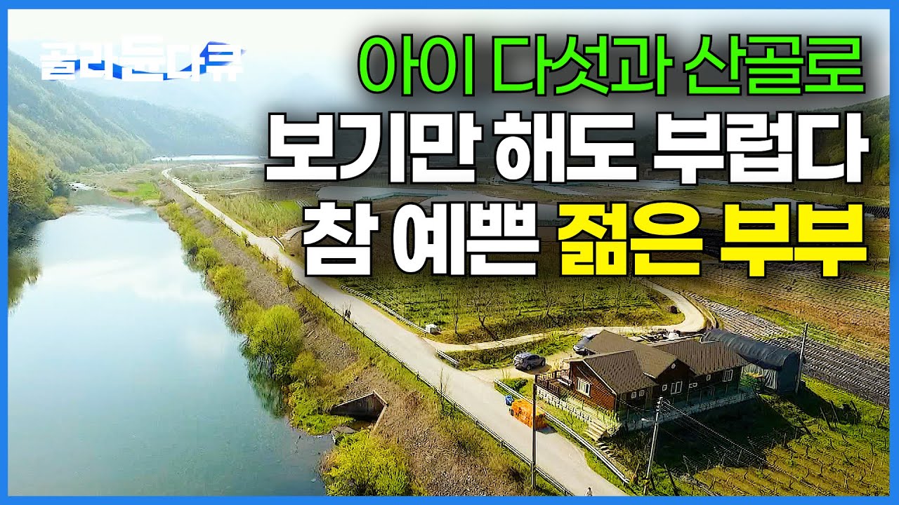 딸랑 우리 뿐인 시골에 아이 다섯 키워요. 참 잘 해놓고 사는 젊은 자연인 부부의 삶ㅣ한국기행ㅣ#골라듄다큐