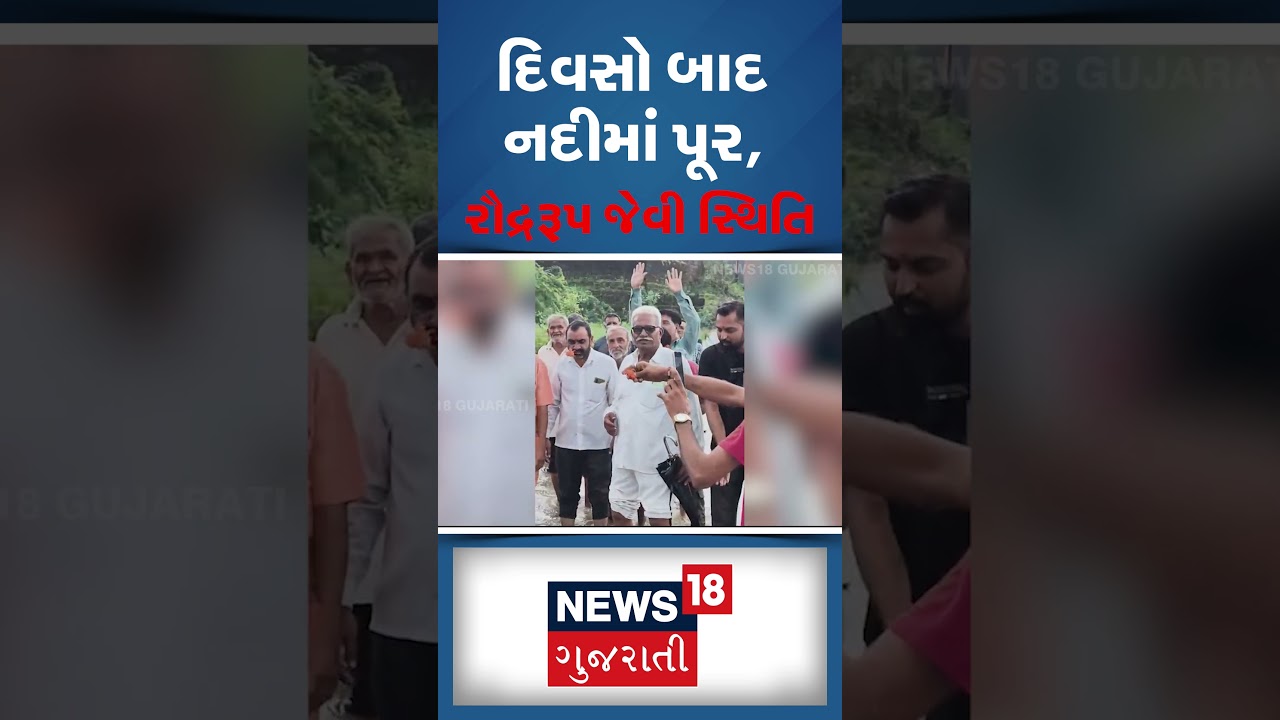 Junagadh Rain News | દિવસો બાદ નદીમાં પૂર, રૌદ્રરૂપ જેવી સ્થિતિ | Shorts | Gujarati News | N18S
