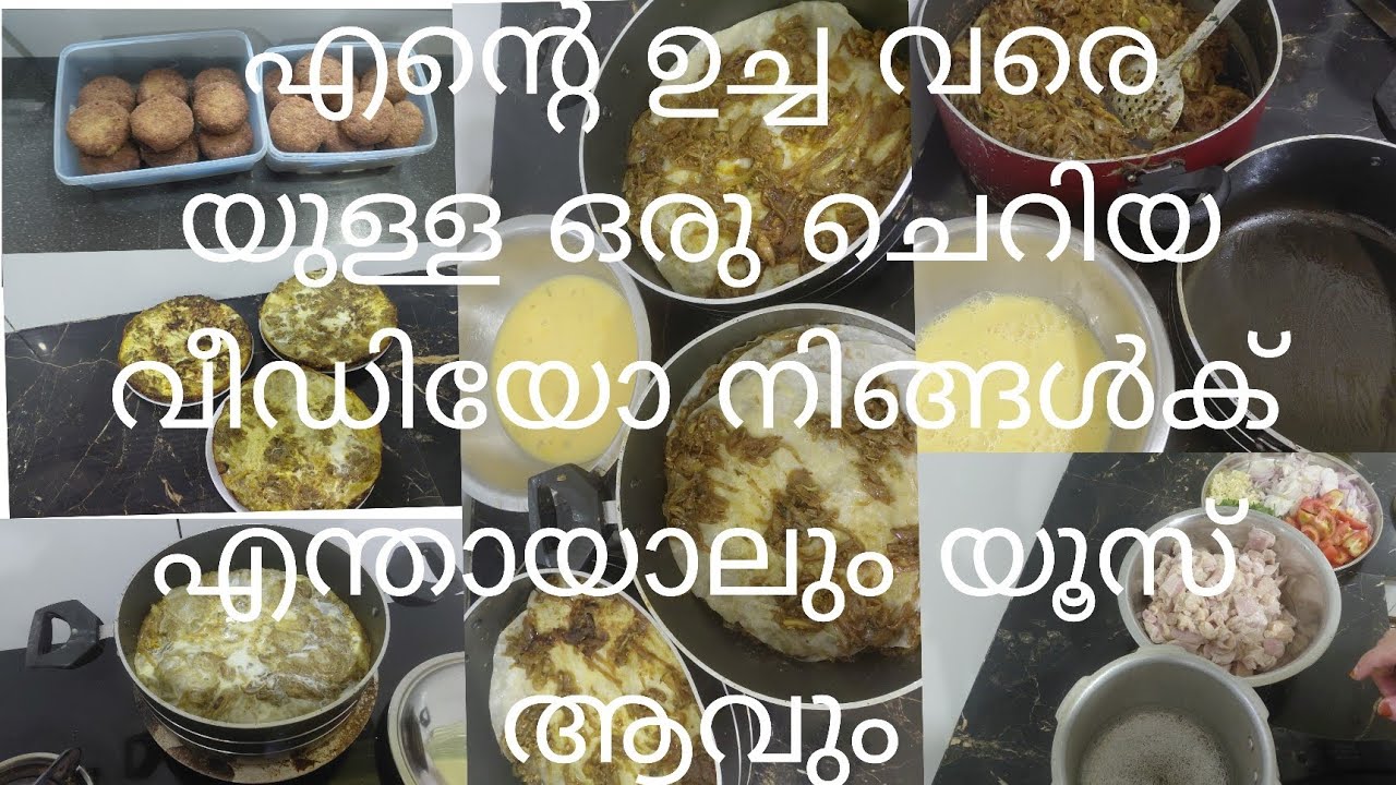 എന്റെ ഉച്ച വരെയൂള്ള ഒരു ചെറിയ വീഡിയോ 