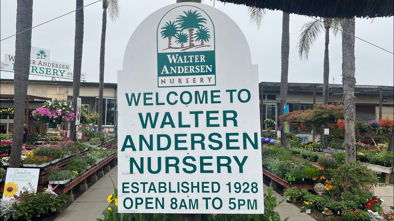 WALTER ANDERSEN NURSERY TOUR. CACTUS AND SUCCULENT SHOPPING SAN DIEGO. #cactus #plants #tour