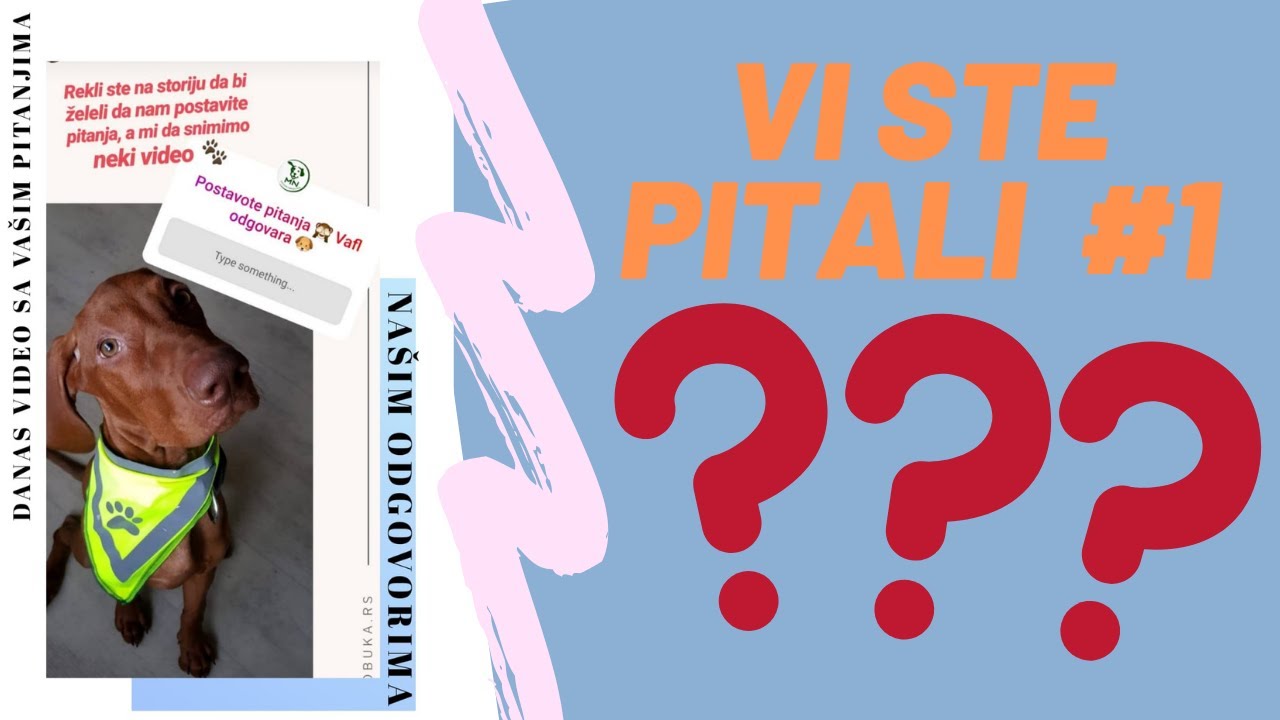 Vaša pitanja/naši odgovori | obuka pasa MN #1