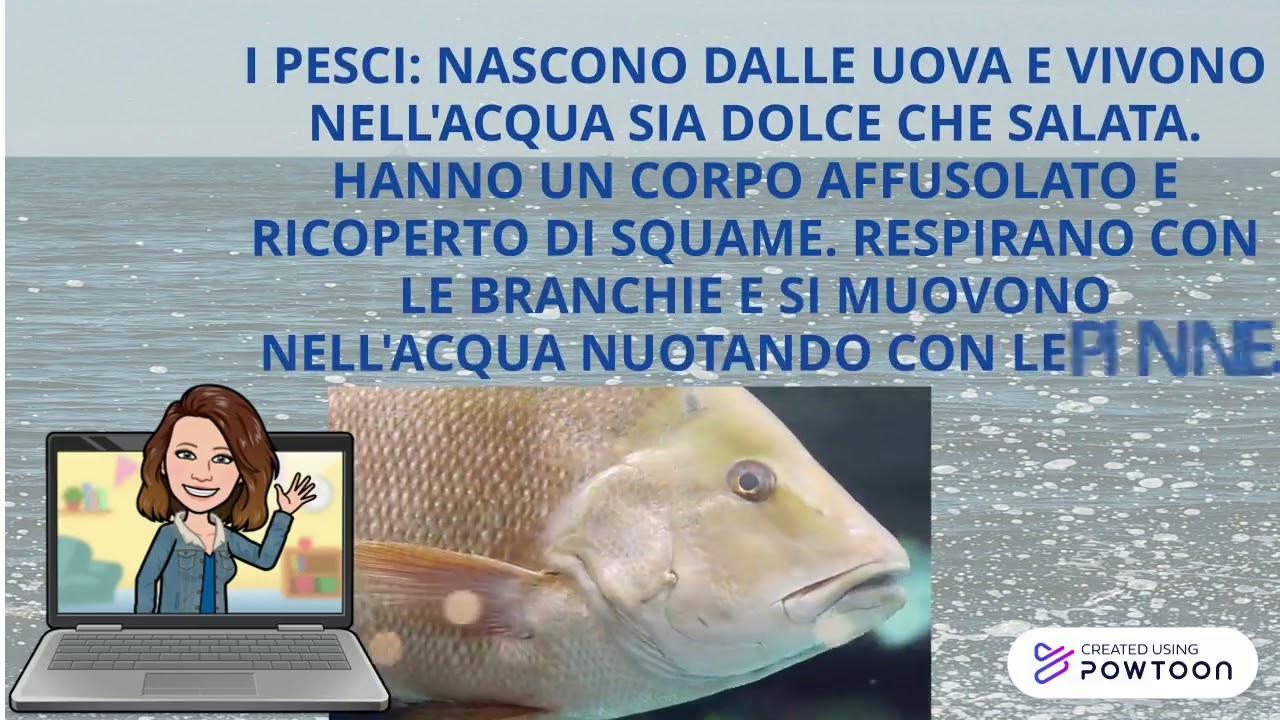 I VERTEBRATIcl3_1