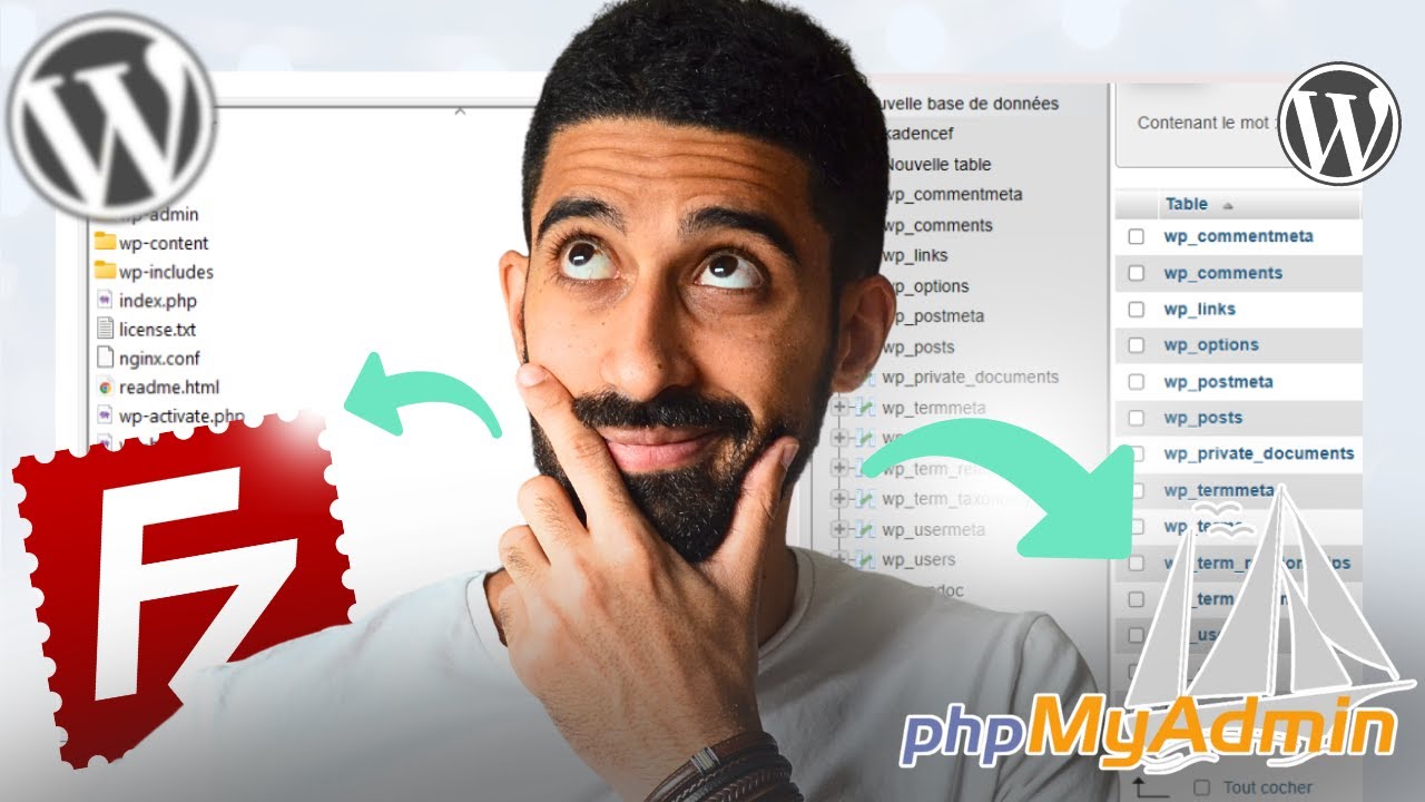 Fichiers et base de données WordPress : comment y accéder ?