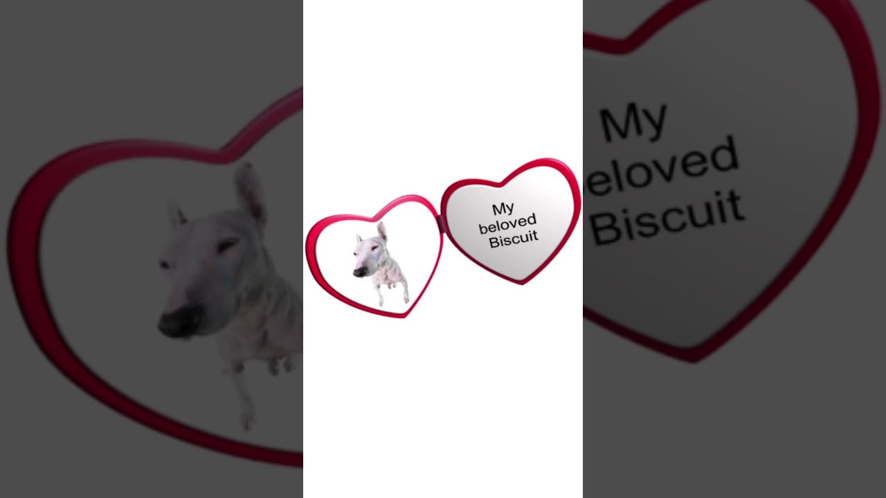 ❤️ #valentines #love #dogs #meme #cute #shorts