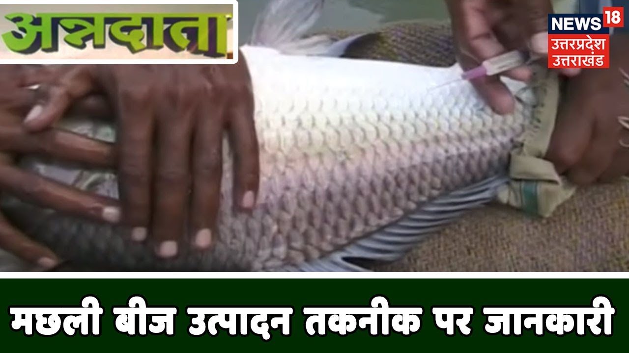 ANNADATA | मछली बीज उत्पादन तकनीक पर जानकारी | Sep 26,2019