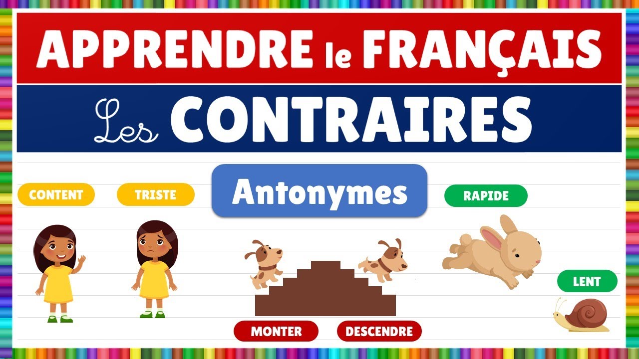 Les contraires : les antonymes