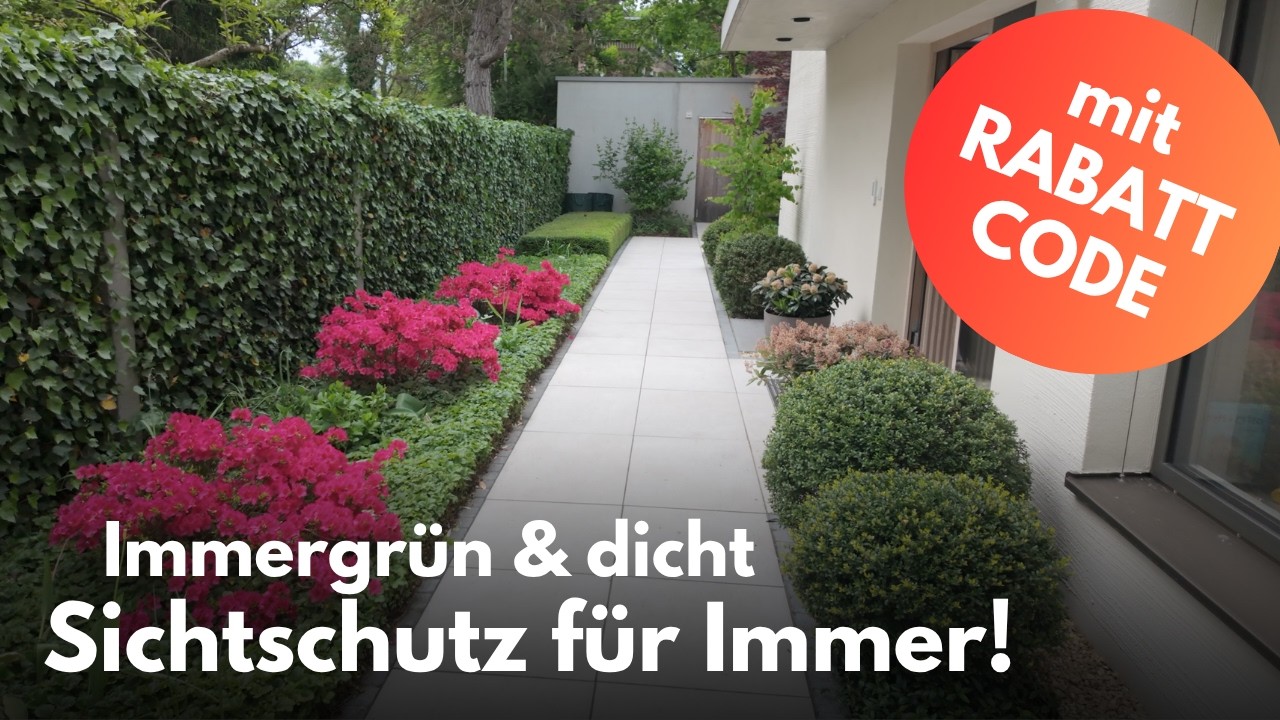 Die 9 besten immergrünen Heckenpflanzen für Ruhe und Sichtschutz im Garten + ein Lieblingsgarten!