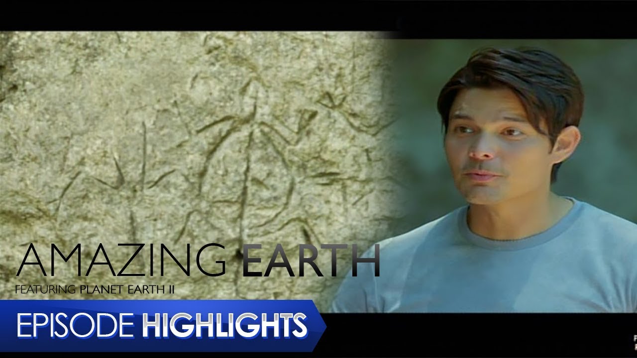 Amazing Earth: The myth of petroglyphs