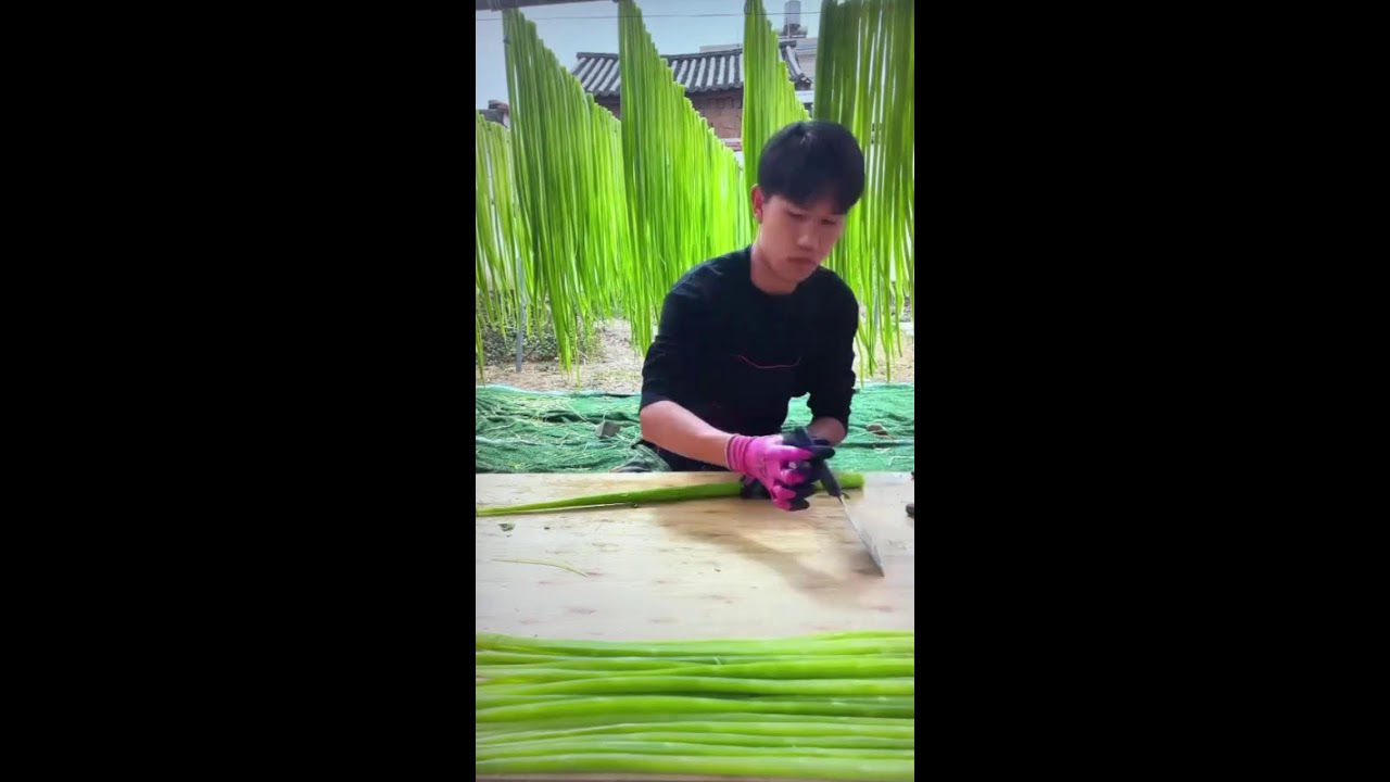 LIVE🔴Ultimate Crunchy Vegetable: Premium Dried Tribute Vegetable (Gong Cai)