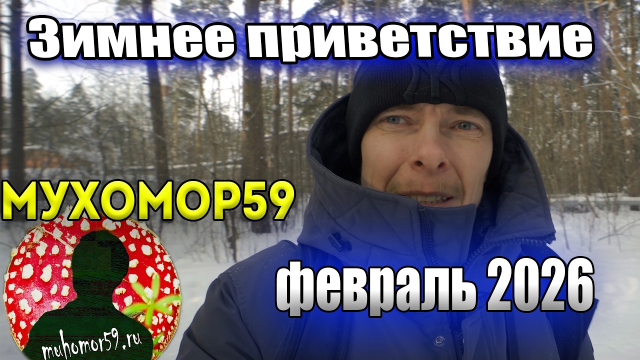 Зимнее приветствие 2026 от Мухомор59