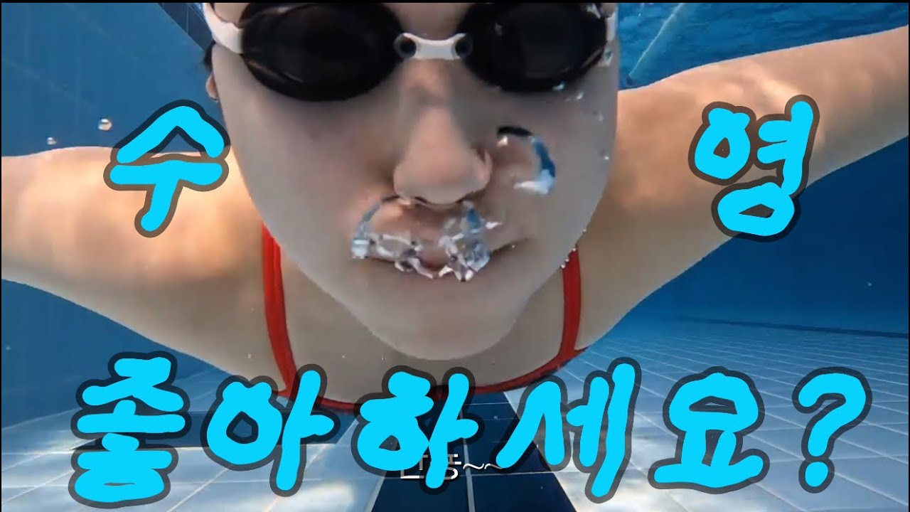 자유수영 뭐하시나요
