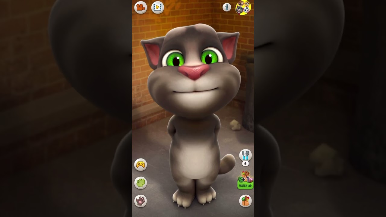 Wawawawa deng #TalkingTom #GJP #talkingtomcat #talkingtom #talkingtomshorts #talkingtomvideos
