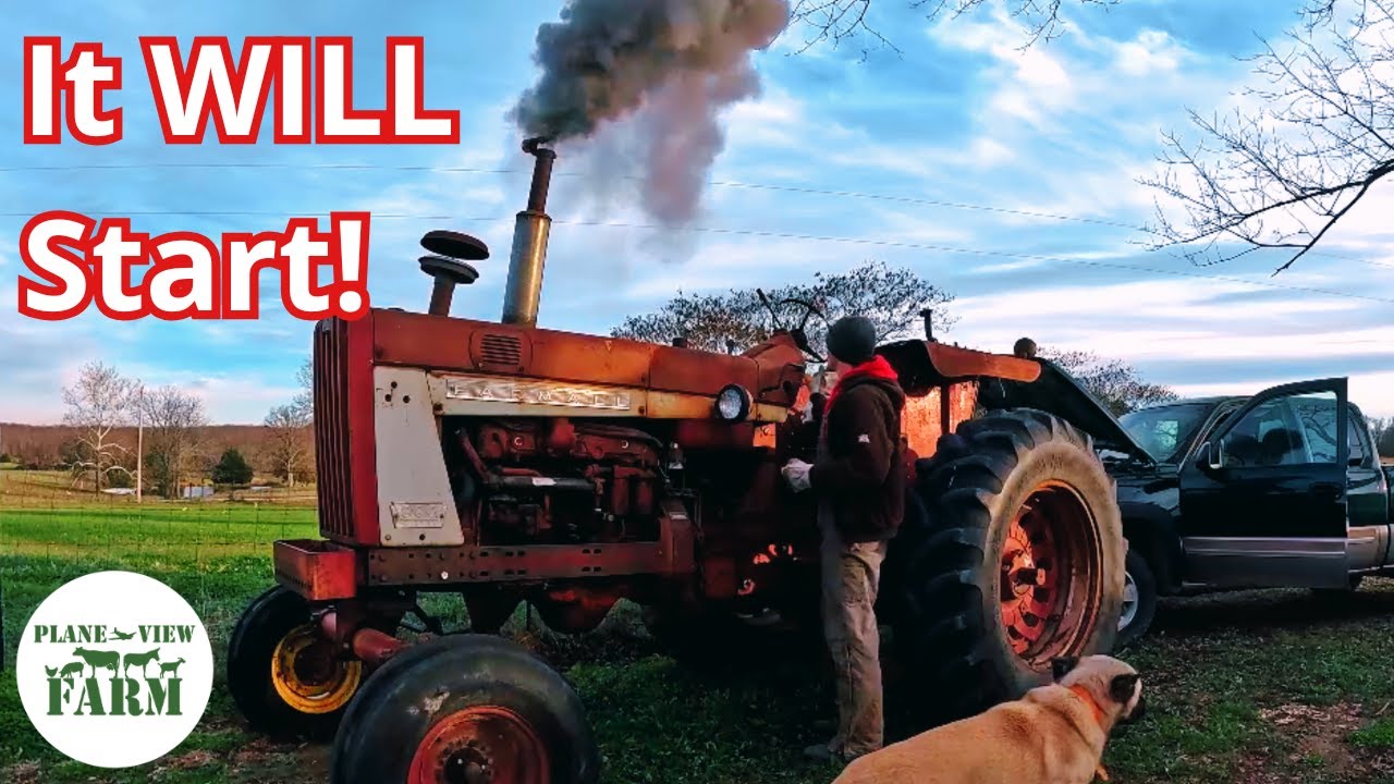 Farmall 806 Холодный старт, кормление сеном и выпас тюков для здоровья почвы