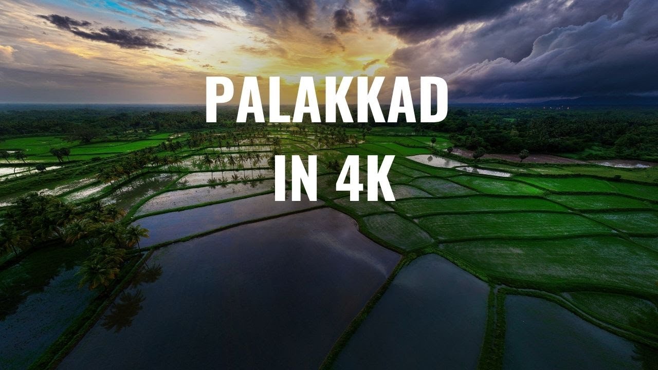 Is Palakkad Kerala&rsquo;s Most Beautiful Secret? [4K Drone] #nature #youtube