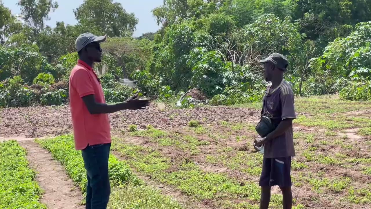 Kala cessé un jeune passionné de l agriculture 