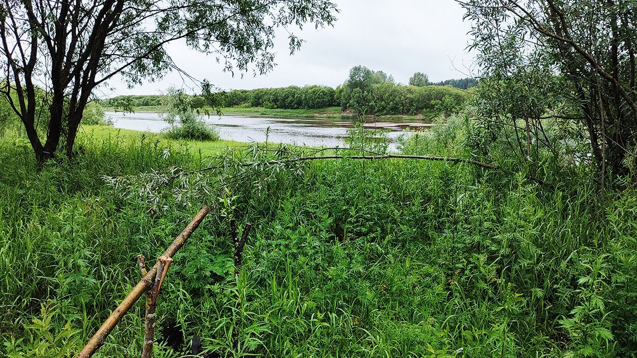 Рыбалка на Вятке с ночёвкой! Крупный лещ, суп харчо на костре. Ветер и дождь.