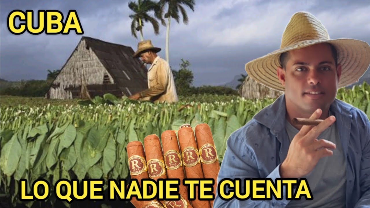 Los secretos ocultos del TABACO en CUBA.