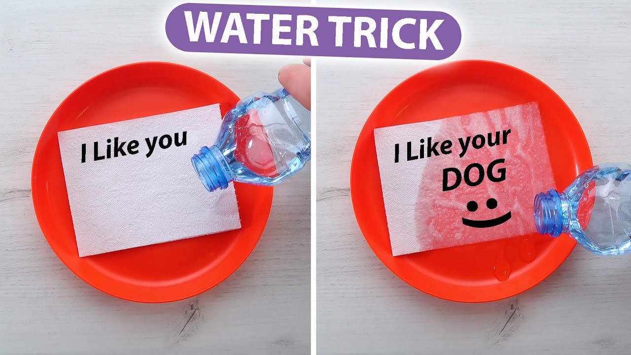 SECRET MESSAGE TO SURPRISE YOUR FRIENDS. Colorful Magic Trick with Paper Towels. Fun water trick