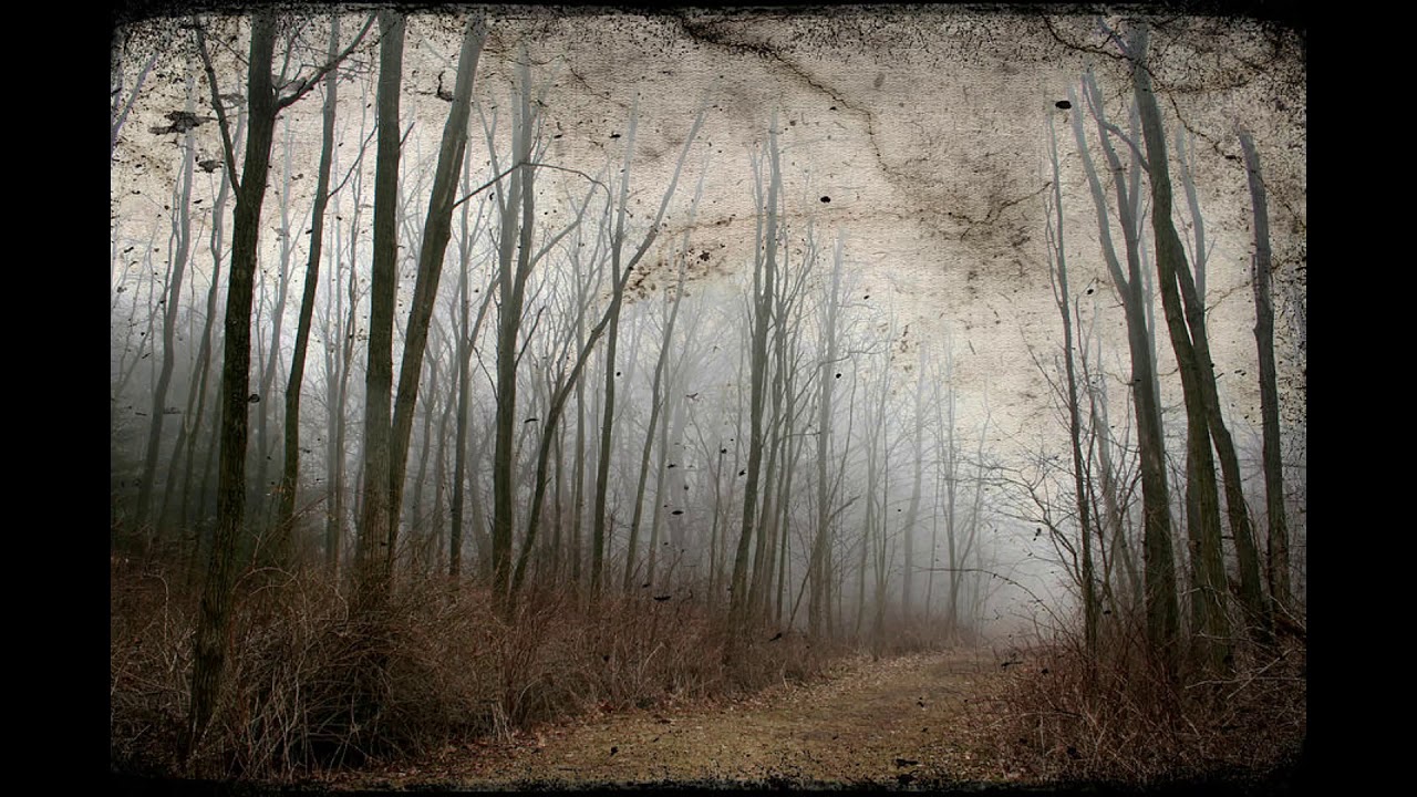 The Flayed Hand   Guy De Maupassant ~ The AudioBook ~