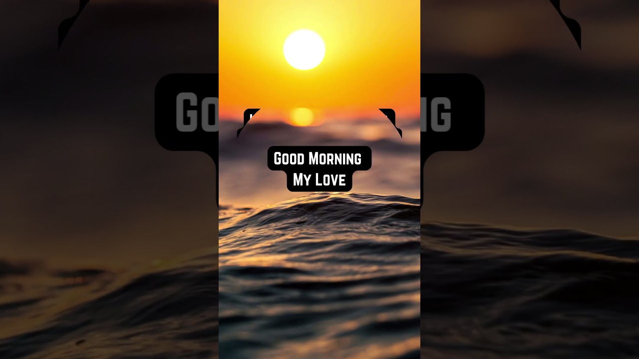 Electrifying Good Morning My Love Text Messages #shortsfeed #goodmorning