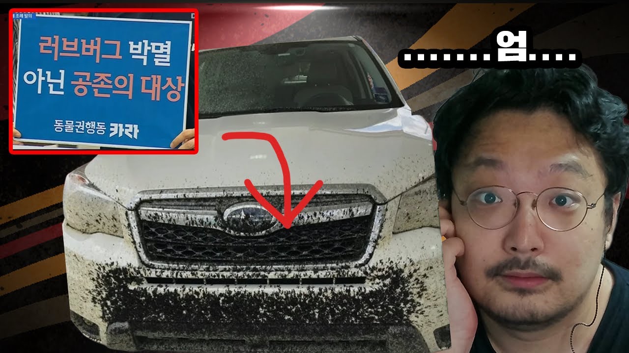 난리난 러브버그 반응 모음