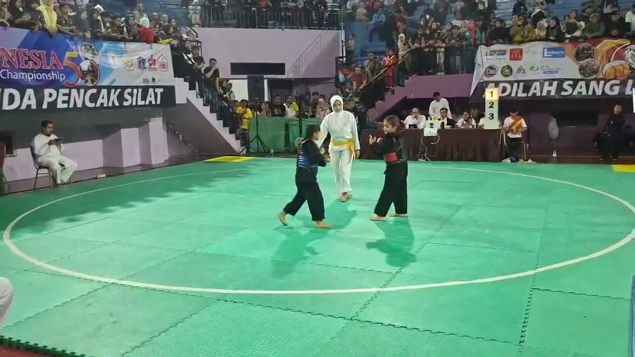 Amora vs mazaya 