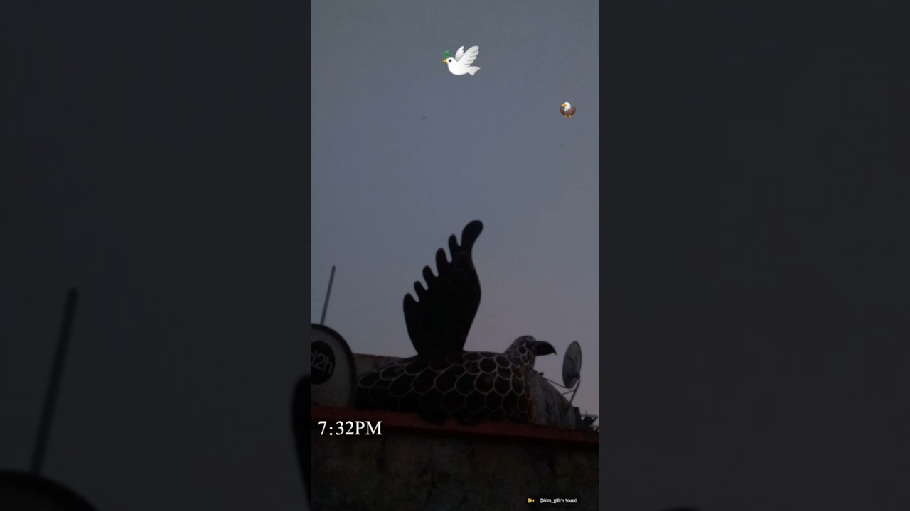 udhde a baaj ni 
