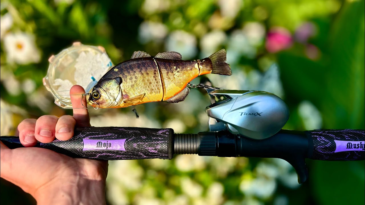 Fishing with my NEW Tran-X 400 and St.Croix Mojo Musky Rod for the FIRST time!