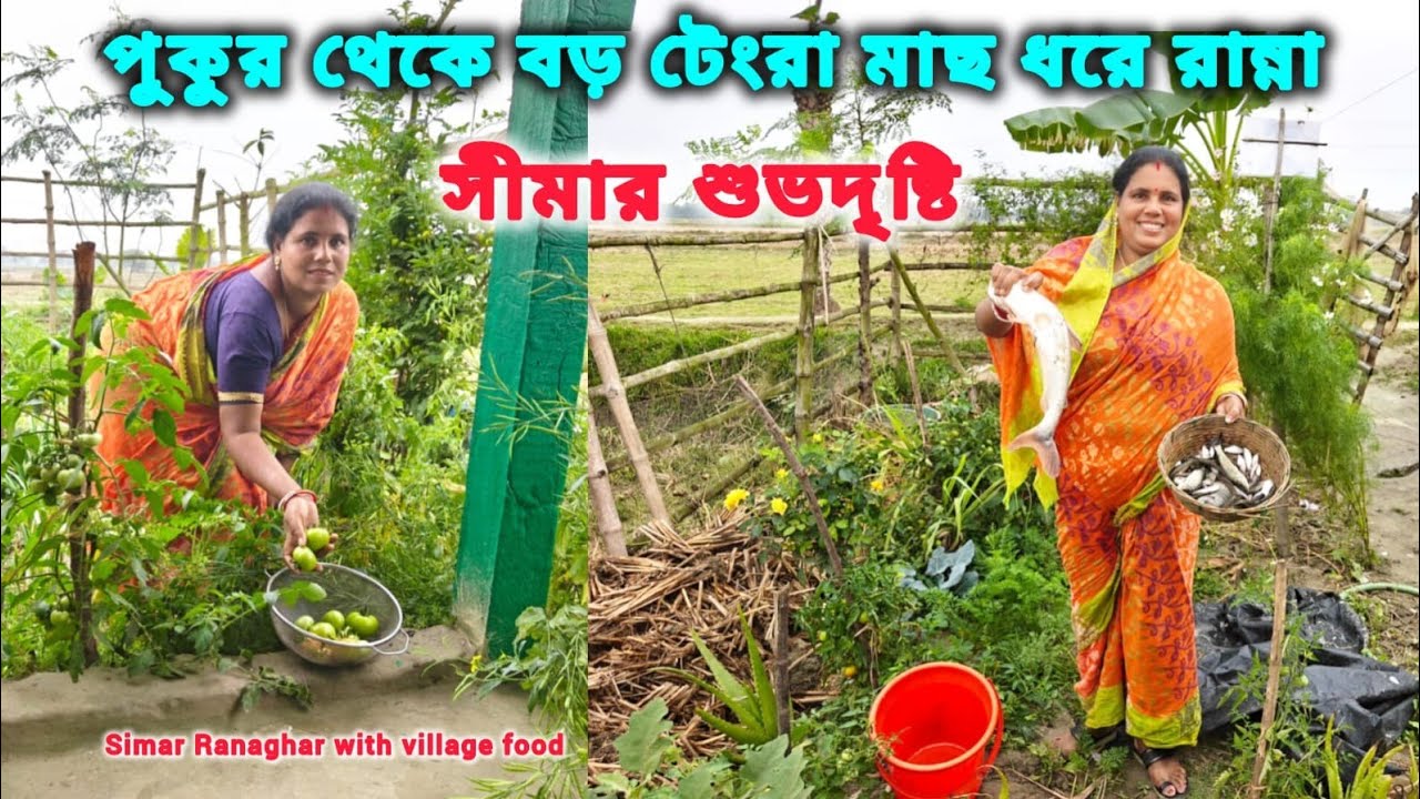 সীমার শুভদৃষ্টি হচ্ছে দেখুন। পুকুরের বড় পাঙ্গাস মাছ রান্না হল। কাঁচা টমেটো চুনো মাছ চচ্চড়ি ।