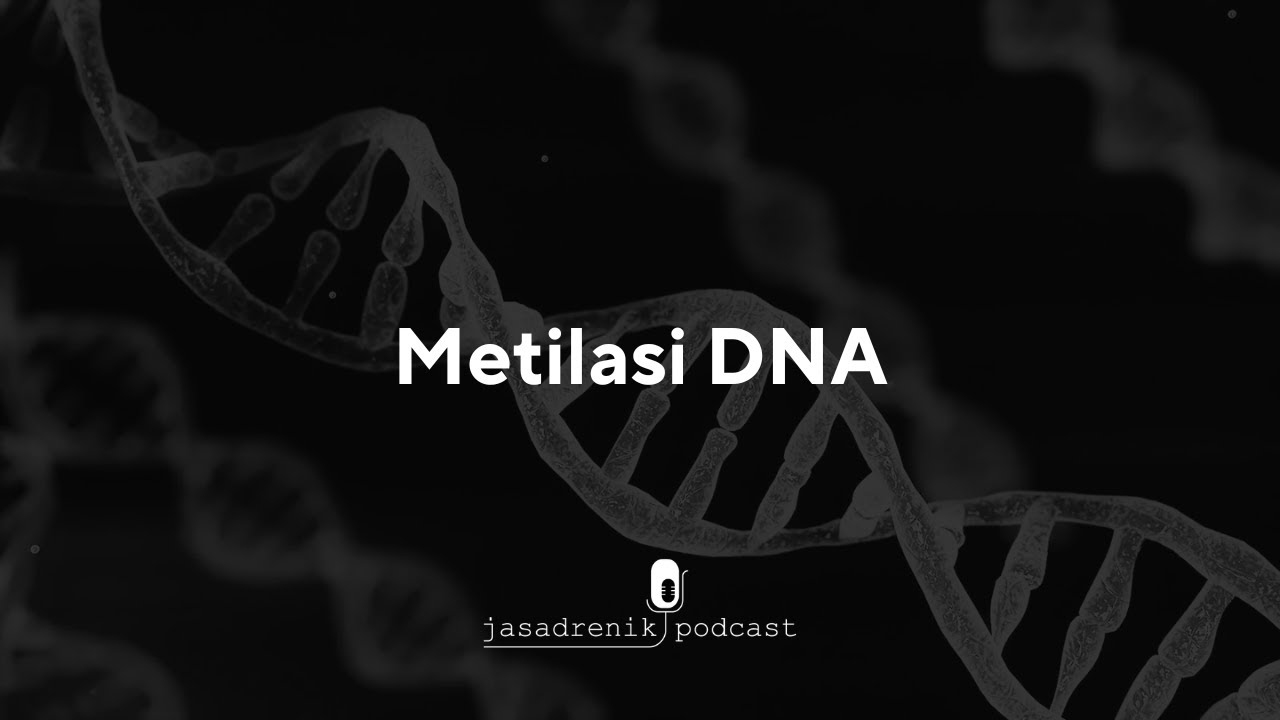 Ngobrolin metilasi DNA yang ada hubungannya dengan epigenetik