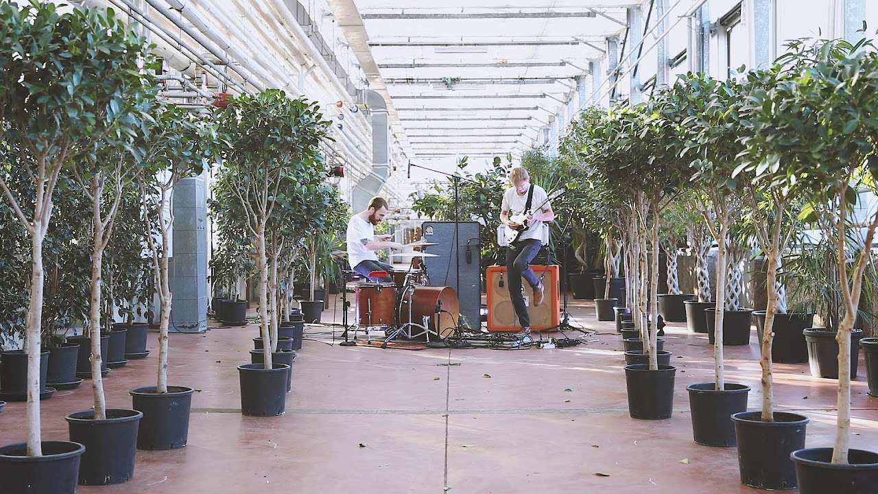La Jungle - Hey Ha Hey Ha (Official live session video)