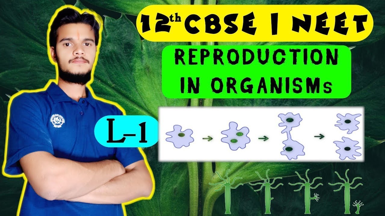 REPRODUCTION IN ORGANISMs•CLASS 12 •LECTURE- 1 _biologyclass _theconcepthunter