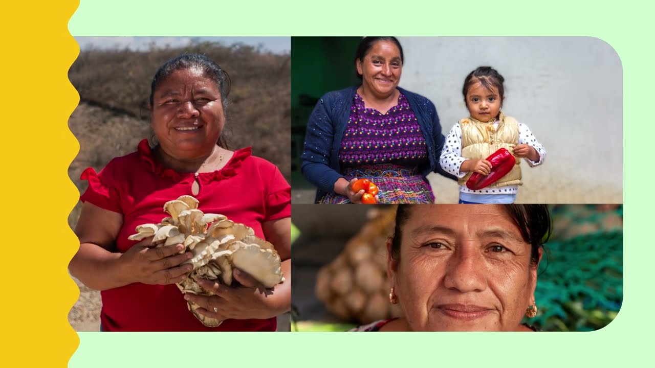 MELYT: Mujeres, Economía Local y Territorios