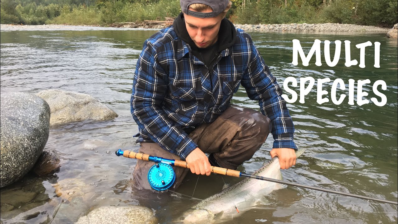 Vedder River Salmon Fishing