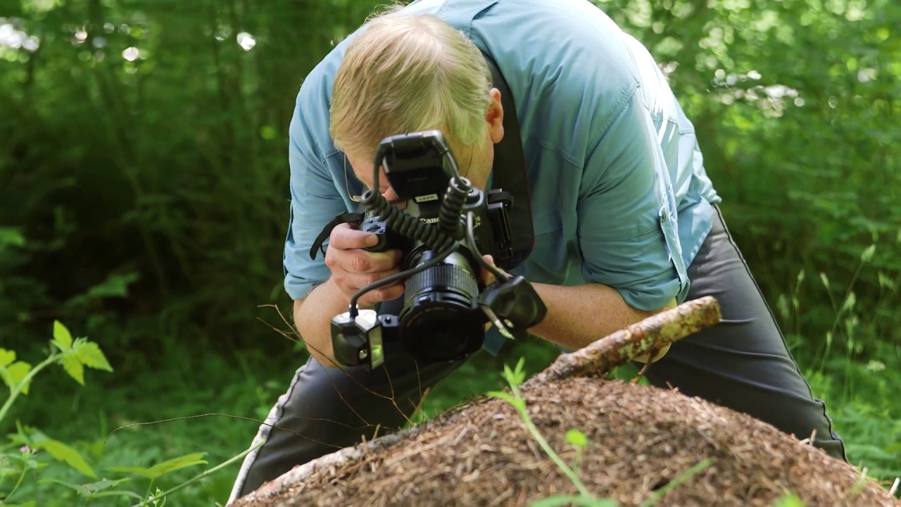 Canon EOS 5DS и EOS 5DS R — макросъемка