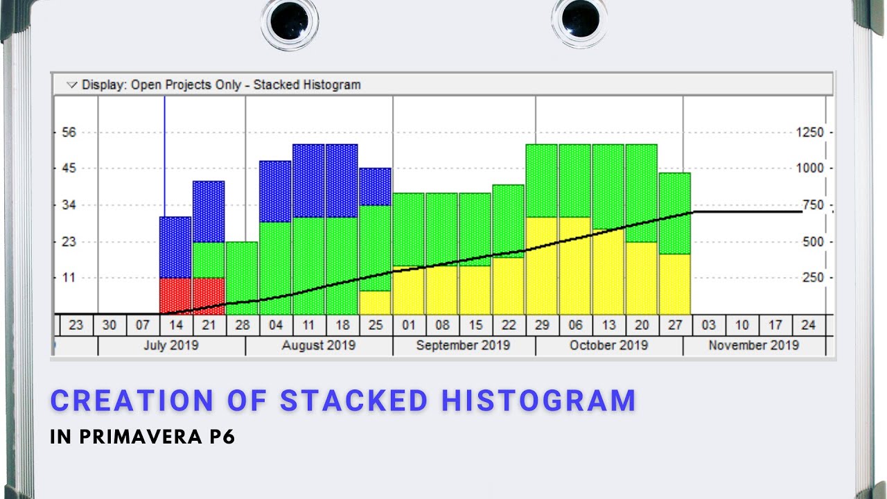 Creation of Stacked Histogram in Primavera P6