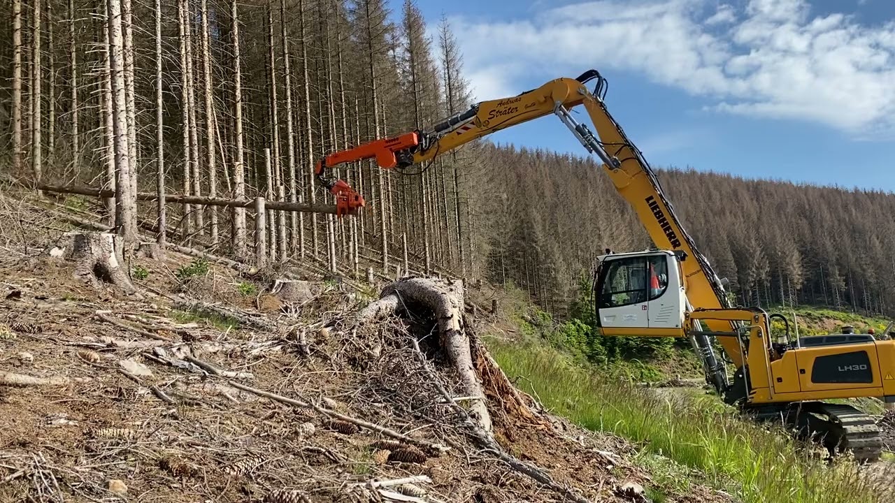 Baumfällung mit Liebherr Kettenbagger LH 30 und Woodcracker Telestufe T 4000