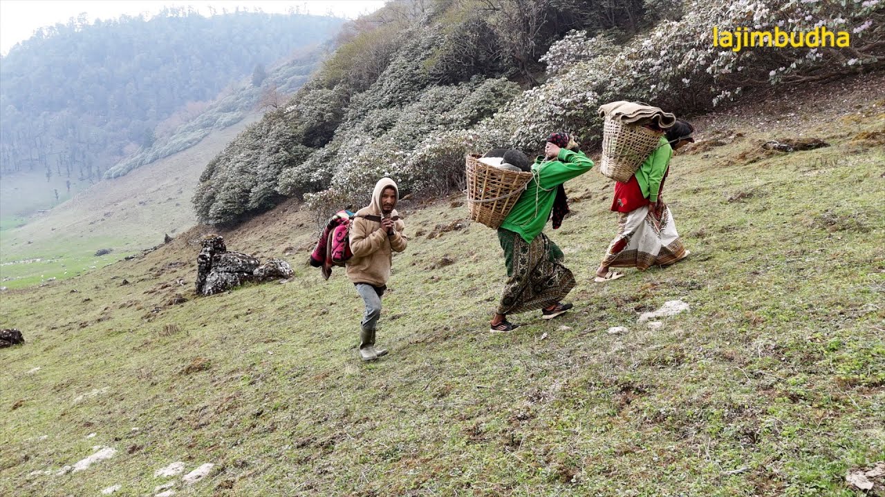 tour to the himalaya || Nepal 🇳🇵 ||