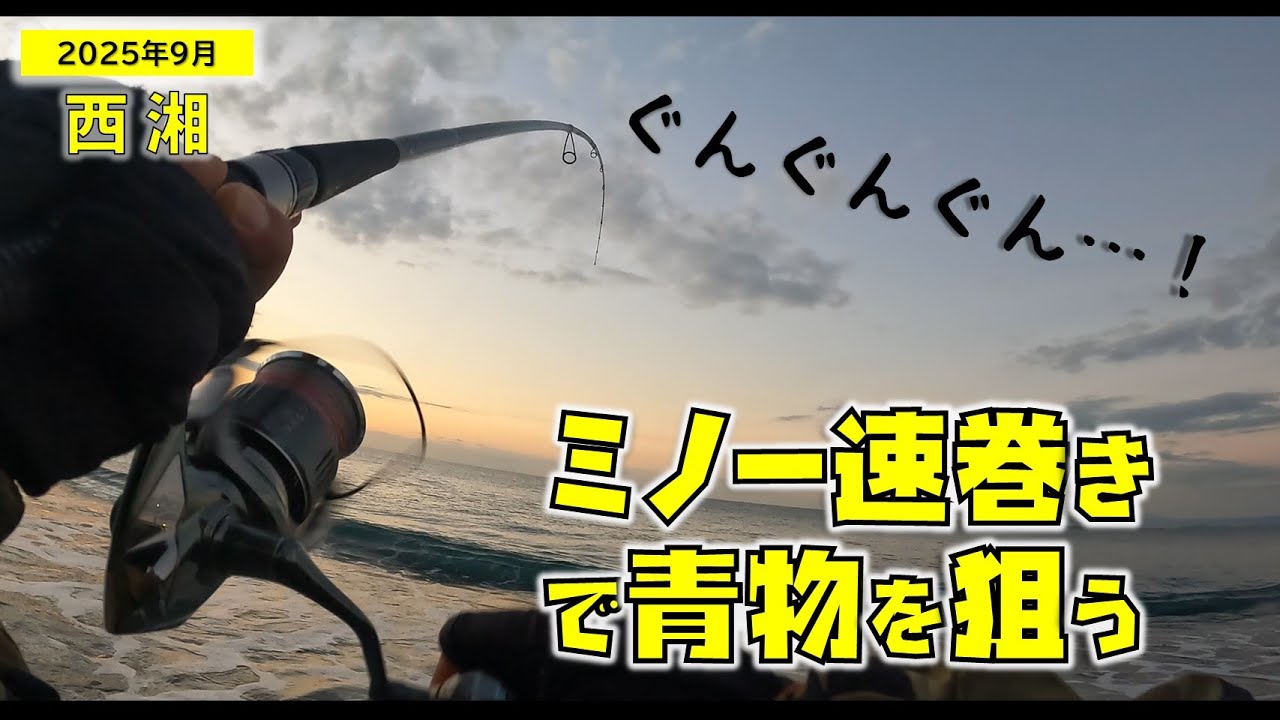 【西湘】ミノーでアタリ、だんだん大きくなる青物【ライトショアジギング】
