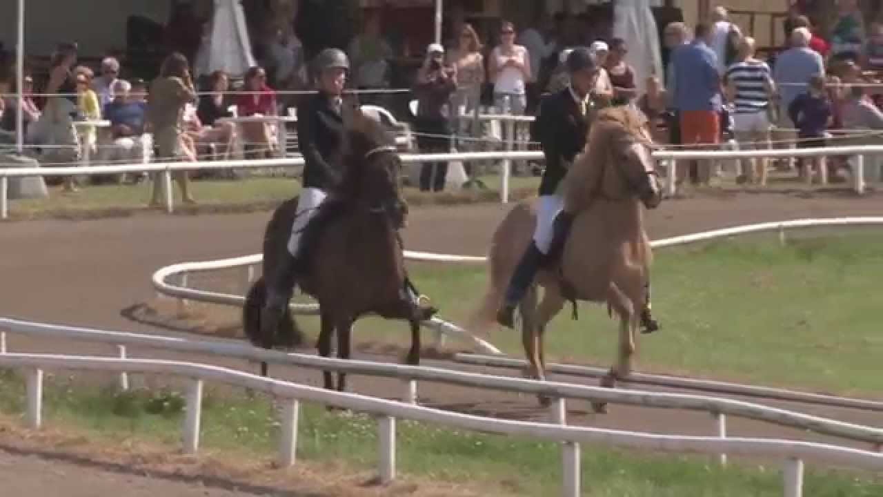 SM Islandshästar 2013 T1 A Final Young Rider Swedish Championships