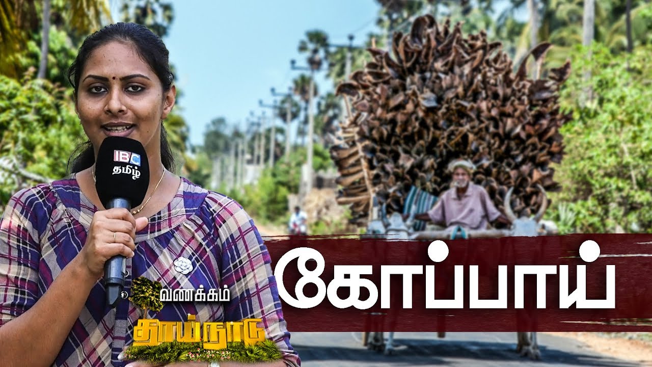 ஈழத்தின் பழமைகளை புதைத்துவைத்திருக்கும் கோப்பாய் | 11th June Vanakkam Thainadu