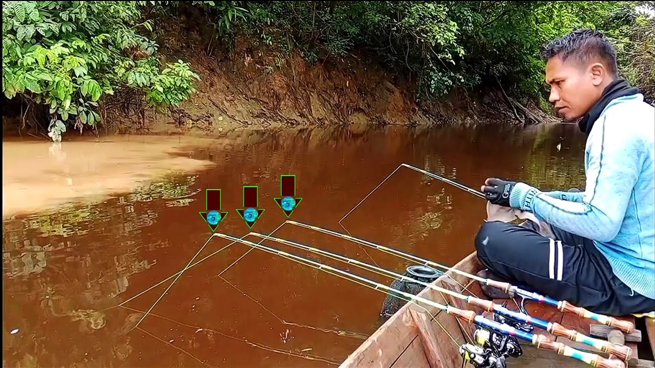 Muara sungai ini 1 tempat 3 ekor udang galah ukuran besar terangkat ~ mancing di sungai
