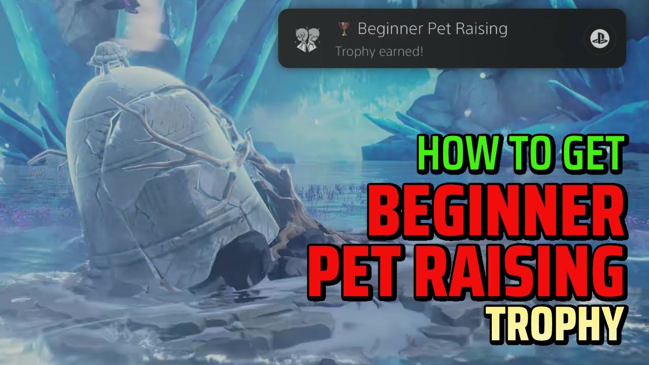 How to get Beginner Pet Raising Trophy in Wuthering Waves