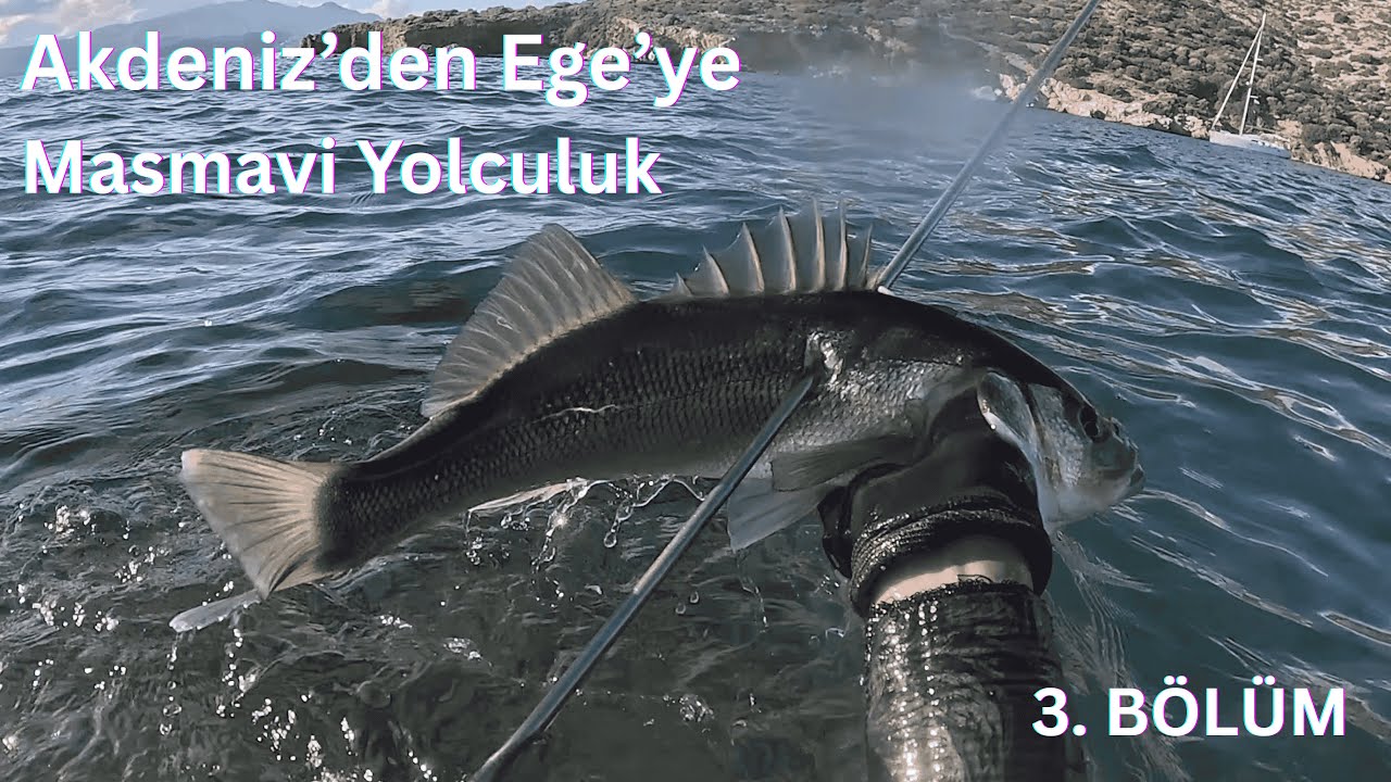 BOZBURUN'DAN İZMİR'E - BALIKLARI VURDUK YELKENE DOYDUK (3. BÖLÜM)