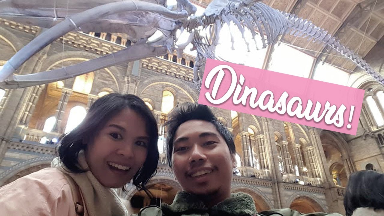 Buto ng Dinosaurs!