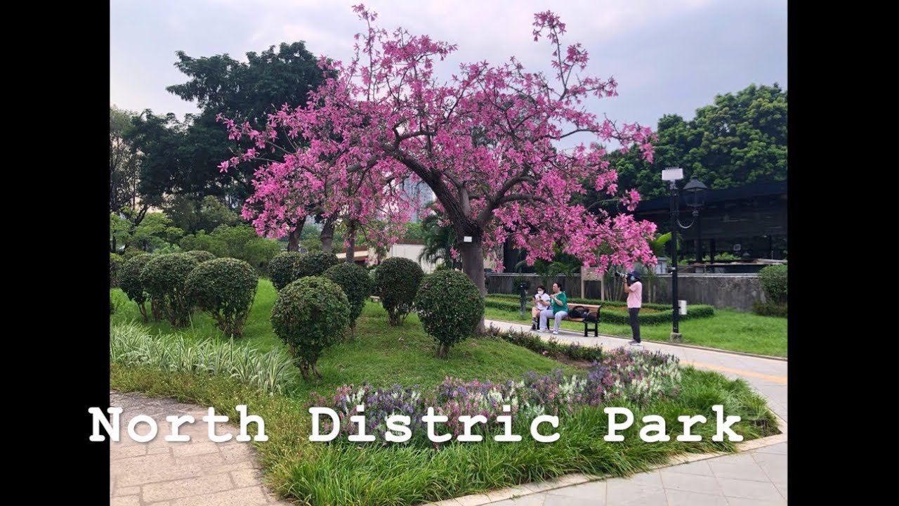 Thing To Do In Fanling ( Part 4 )