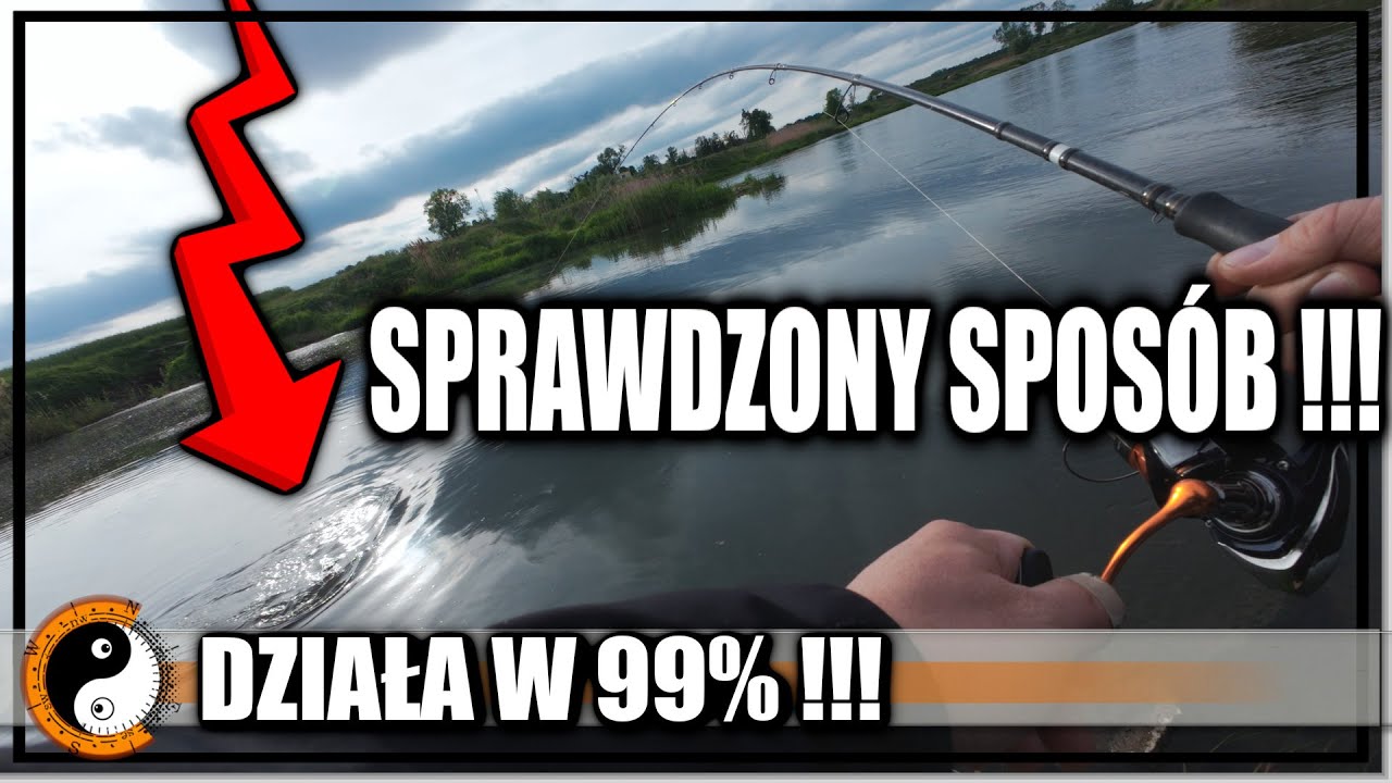RYBY NIE BIORĄ ? TA METODA ZAWSZE DZIAŁA ! Wędkarstwo 2025