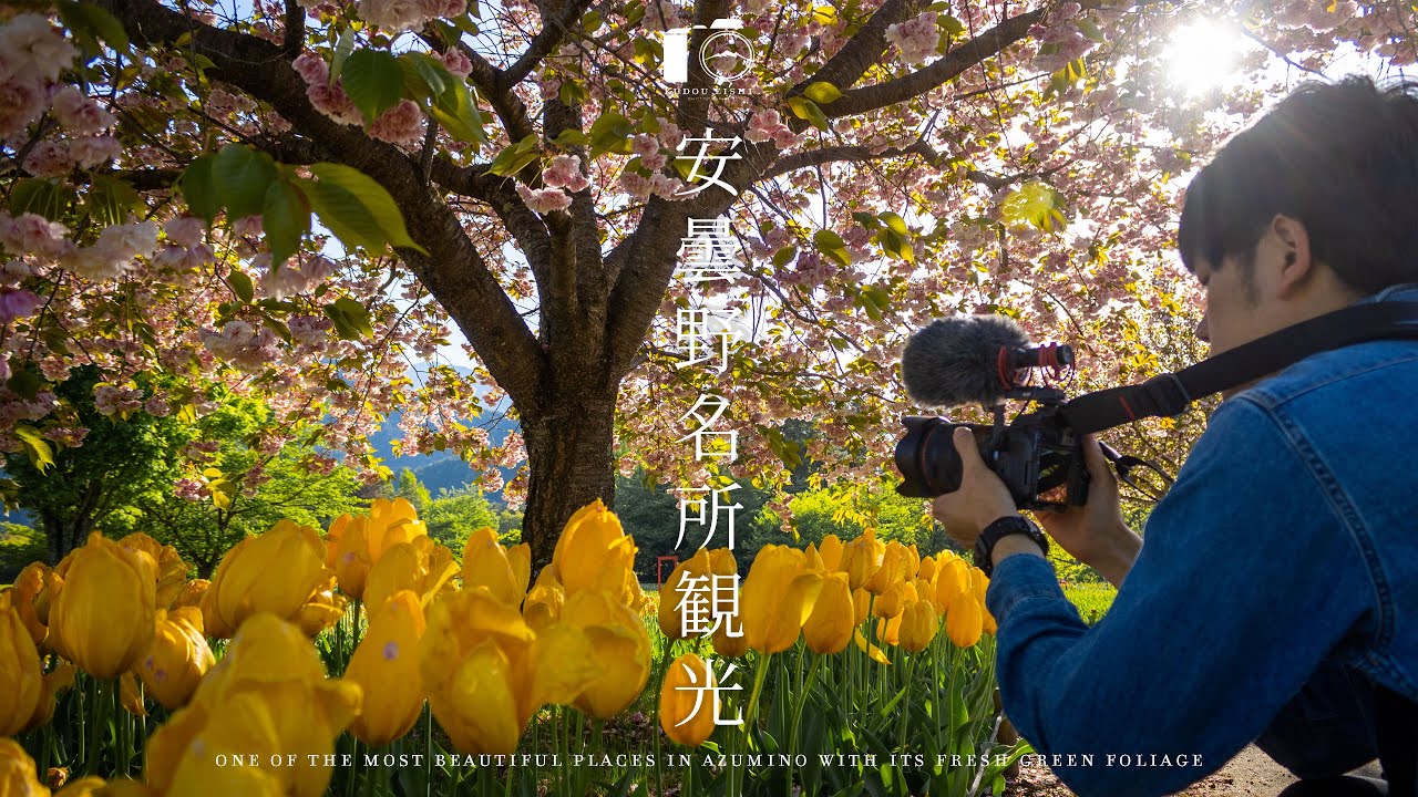 Фотопутешествие, чтобы насладиться свежей зеленью в достопримечательностях Адзумино