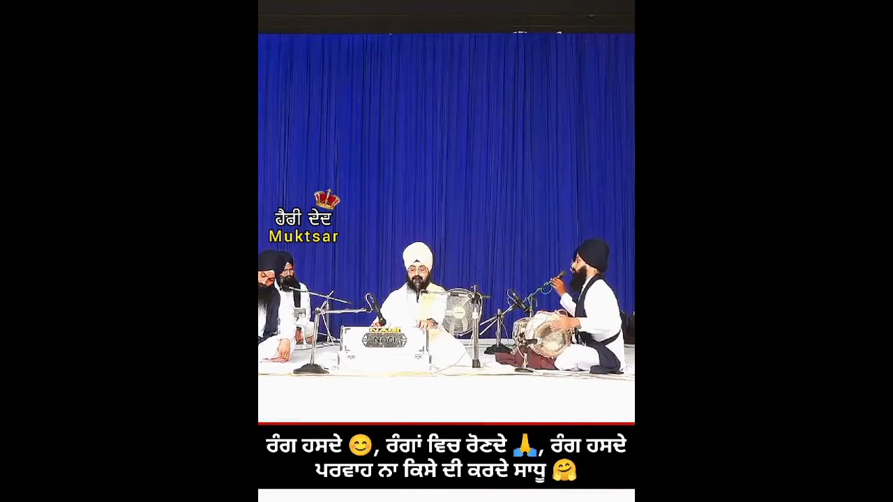 ਧਾਰਨਾ-ਰੰਗ ਹਸਦੇ, ਰੰਗਾਂ ਵਿਚ ਰੋਂਦੇ, ਰੰਗ ਹਸਦੇ ਪਰਵਾਹ ਨਾ ਕਿਸੇ ਦੀ ਕਰਦੇ ਸਾਧੂ।